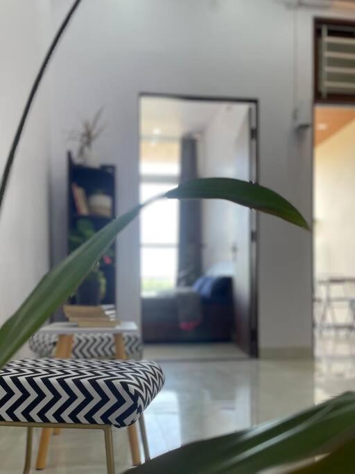 Bark & Bash-Villa-House Jaipur Bagian luar foto